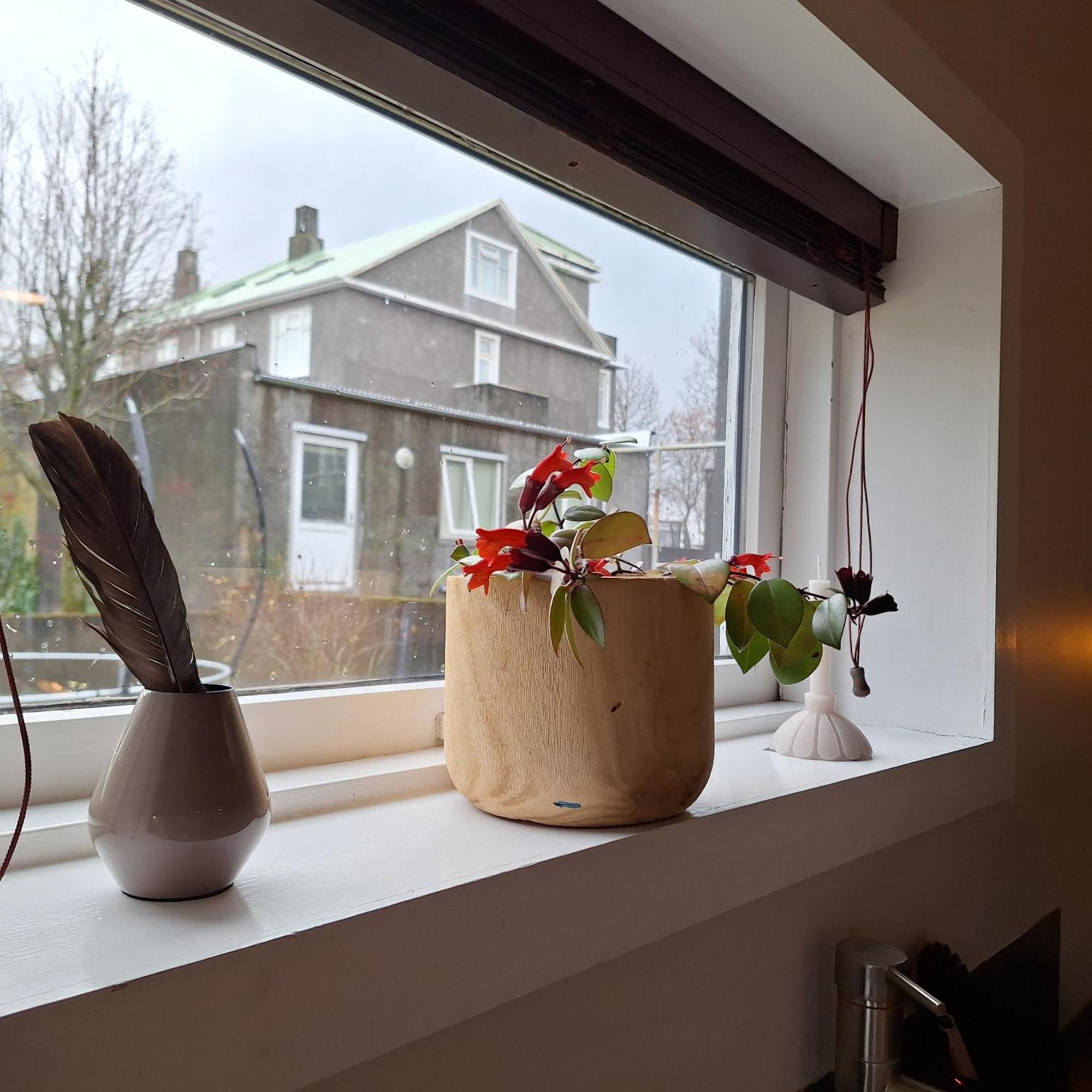 Central Reykjavik - Garden Cottage Eksteriør billede